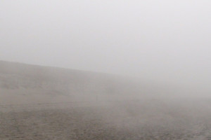 Mist in Perkpolder